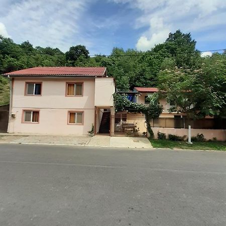 Ferienwohnung Casa Iza Băile Herculane Exterior foto