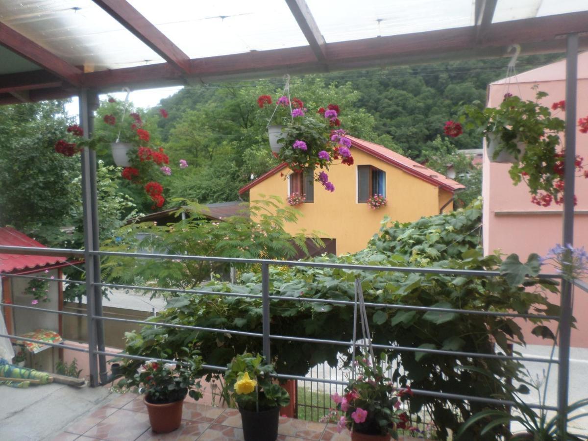 Ferienwohnung Casa Iza Băile Herculane Exterior foto