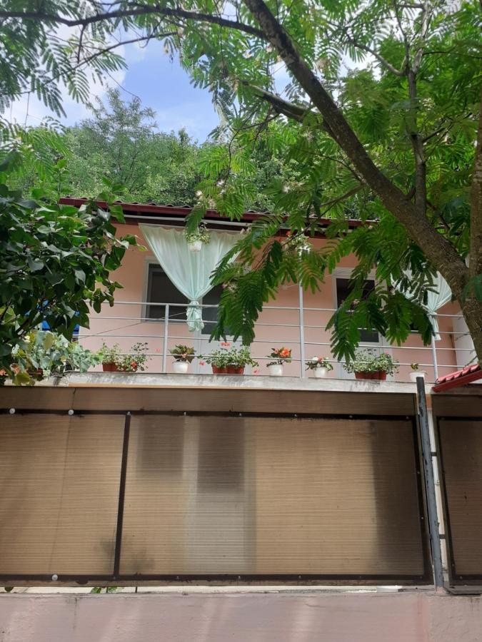 Ferienwohnung Casa Iza Băile Herculane Exterior foto